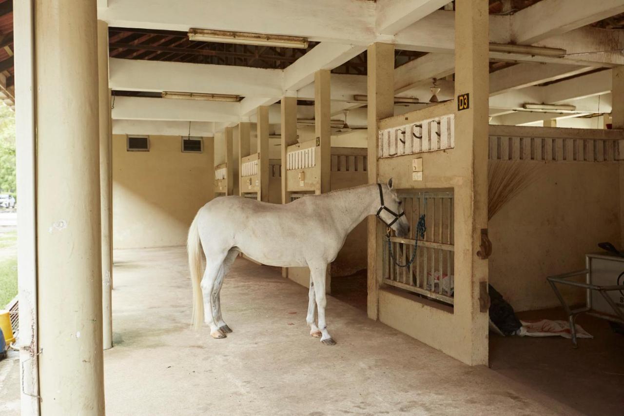 Terengganu Equestrian Resort Kuala Terengganu Ngoại thất bức ảnh