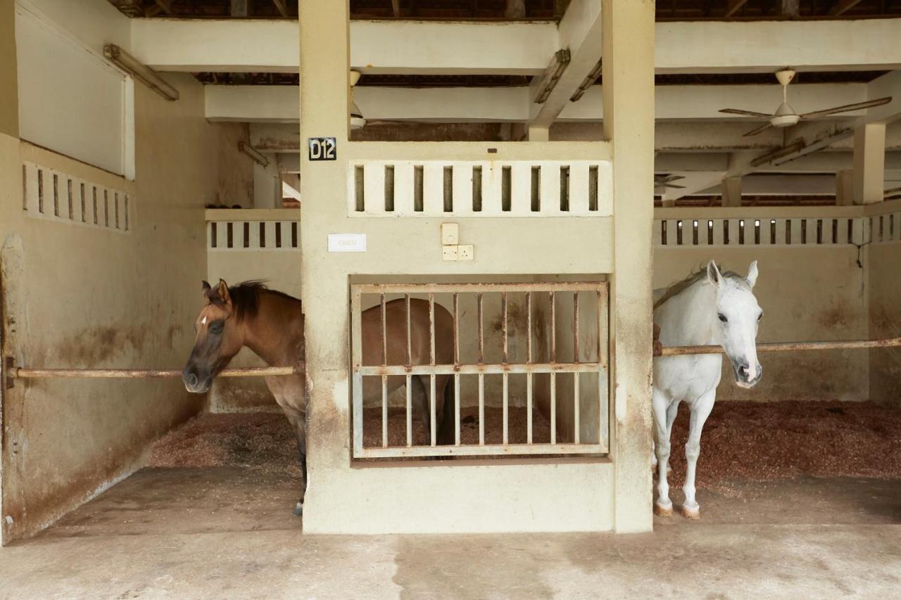 Terengganu Equestrian Resort Kuala Terengganu Ngoại thất bức ảnh