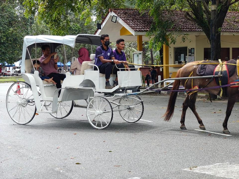 Terengganu Equestrian Resort Kuala Terengganu Ngoại thất bức ảnh